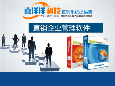 四維一體 軟件開發、技術開發、制度設計與企業營銷策劃融合的咨詢服務體系